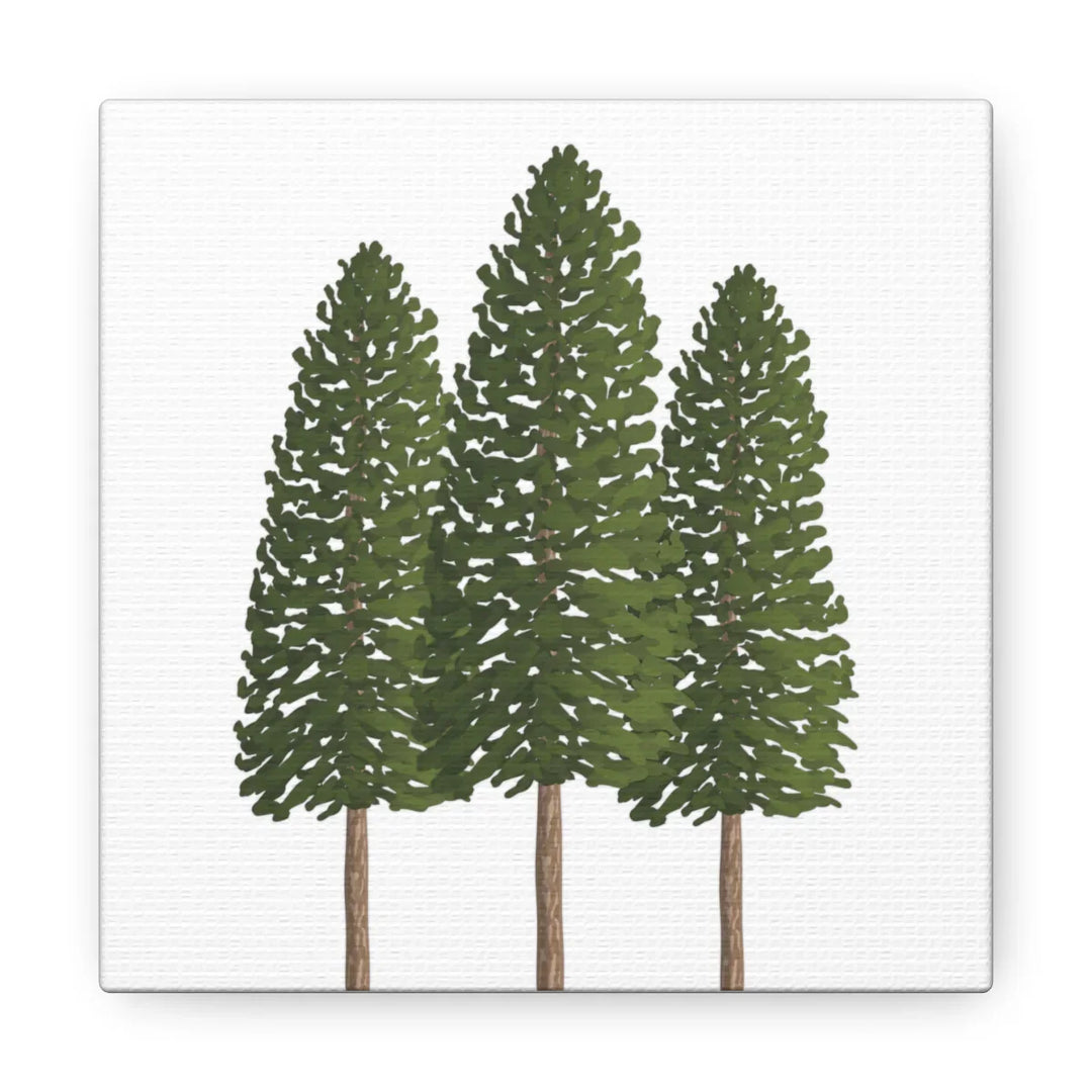 Ponderosa Pine Canvas - Large Stretched Cotton Canvas Art Print With Matte Finish