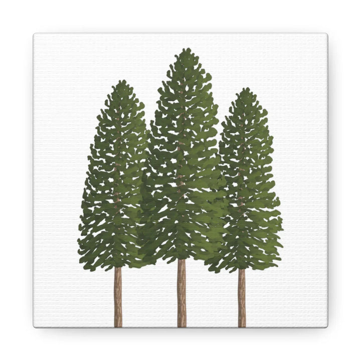 Ponderosa Pine Canvas - Large Stretched Cotton Canvas Art Print With Matte Finish