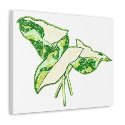 Marble Syngonium Canvas