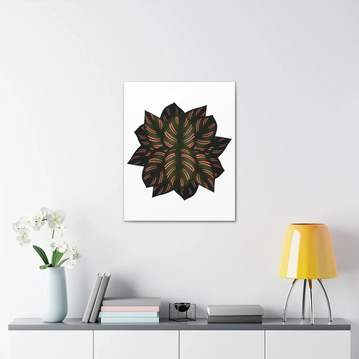 Calathea Pinstripe Canvas – Botanical Canvas Art Print | Matte Finish Wall Decor