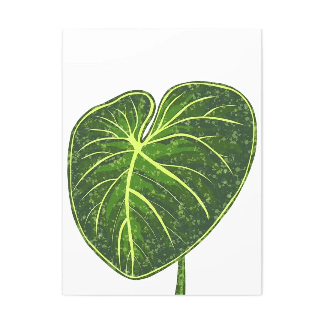 Philodendron Gloriosum Canvas - Stretched Canvas Art Print | Matte Indoor Wall Art - Laura Christine Photography & Design