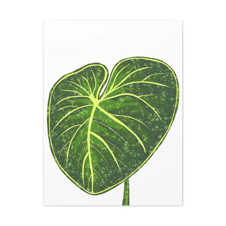 Philodendron Gloriosum Canvas - Stretched Canvas Art Print | Matte Indoor Wall Art - Laura Christine Photography & Design