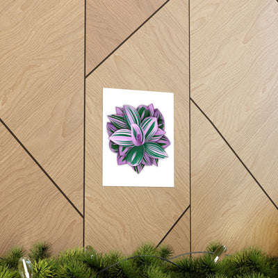 Tradescantia Nanouk Print