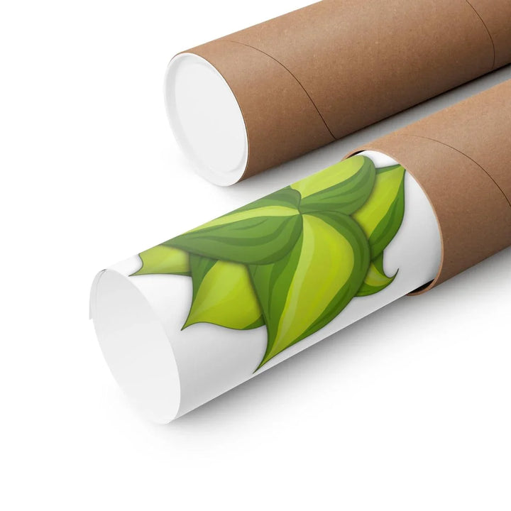 Philodendron Brasil Print – Botanical Wall Art on Museum Grade Paper Poster Unframed - Laura Christine Photography & Design