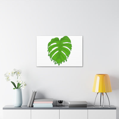 Lienzo Monstera derritiéndose