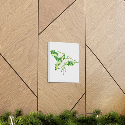 Marble Syngonium Canvas