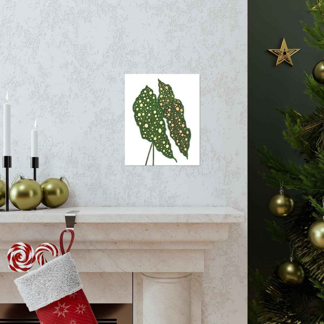 Begonia Maculata Print - Botanical Wall Art on Museum Grade Paper | Matte Finish Unframed