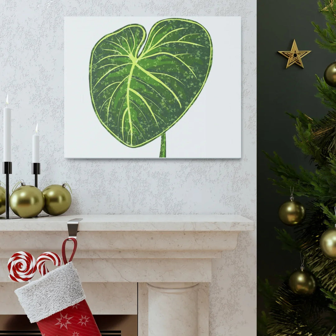 Philodendron Gloriosum Canvas - Stretched Canvas Art Print | Matte Indoor Wall Art - Laura Christine Photography & Design