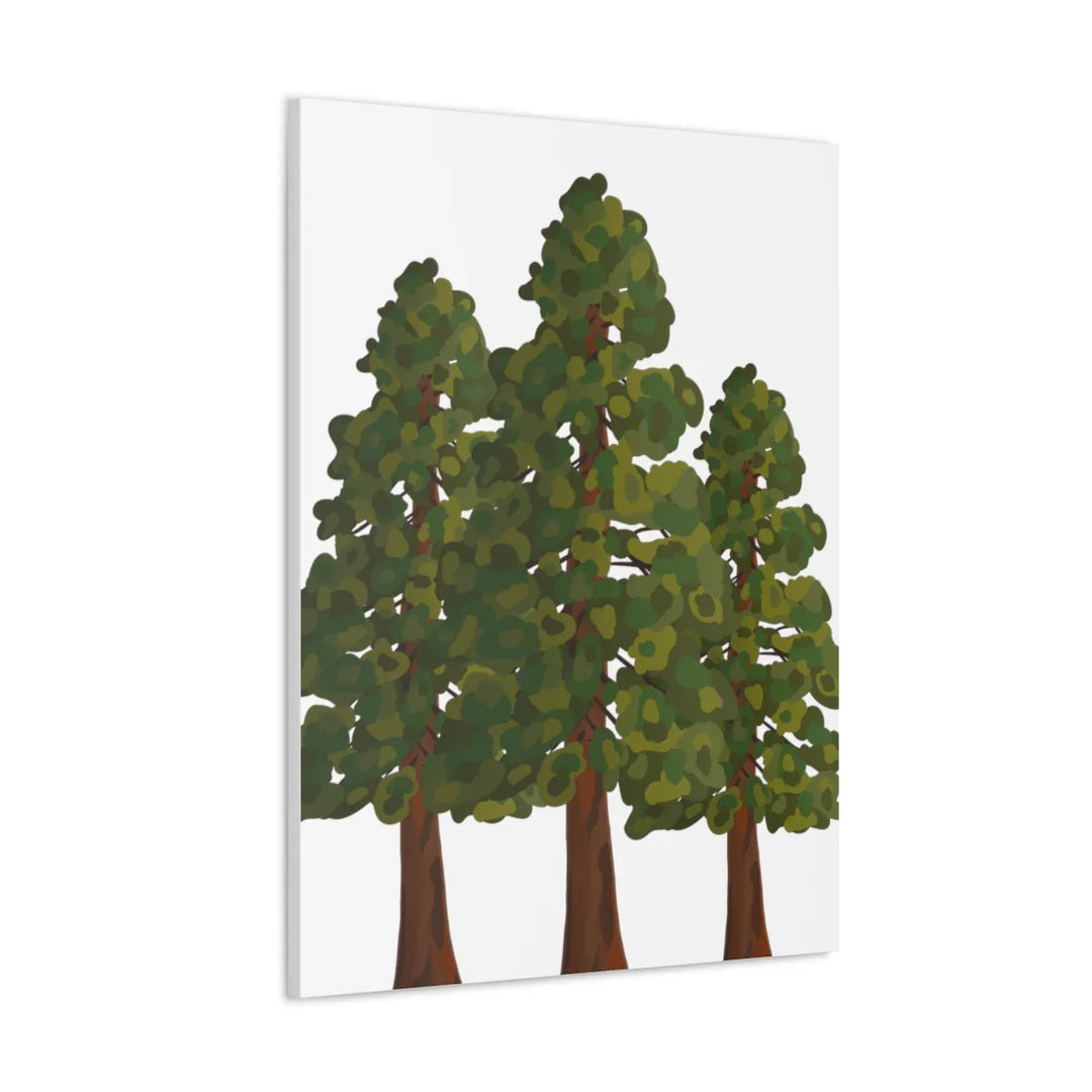 Coastal Redwoods Canvas - Stretched Cotton Canvas Art Print | Matte Finish Wall Hanging Artwork