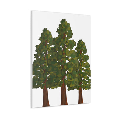 Coastal Redwoods Canvas