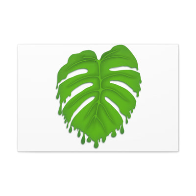 Melting Monstera Canvas