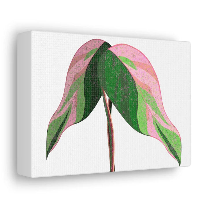Pink Princess Philodendron Canvas Art Print – Botanical Wall Decor | Matte Finish