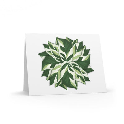 Calathea White Fusion Greeting Card, Paper products, Laura Christine Photography & Design, Calathea, Gift, Greeting Card, Holiday Picks, Home & Living, House Plant, Illustration, Indoor Plant, Note Card, Office Supplies, Paper, Plant, Post Card, Postcard, Postcards, Prayer Plant, Stationery, White Fusion, Laura Christine Photography & Design, laurachristinedesign.com