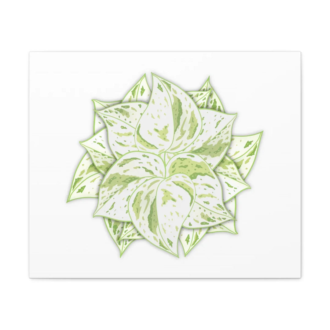 Snow Queen Pothos Canvas – Variegated Leaf Canvas Art Print | Durable Cotton - Laura Christine Photography & Design