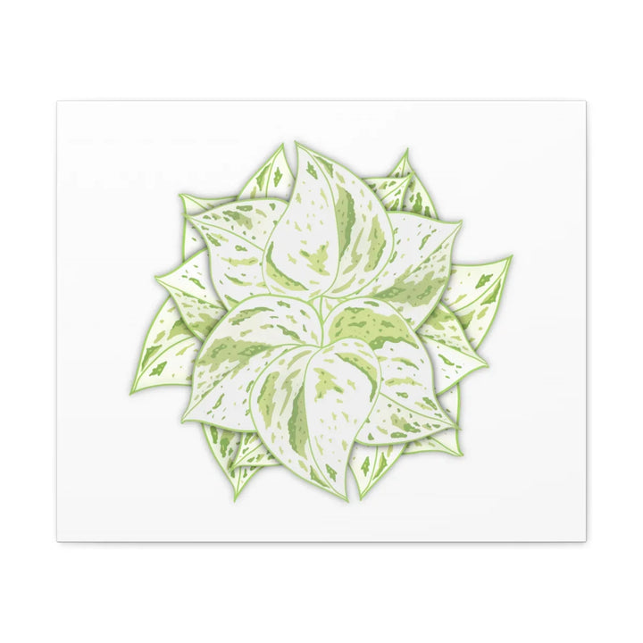 Snow Queen Pothos Canvas – Variegated Leaf Canvas Art Print | Durable Cotton - Laura Christine Photography & Design