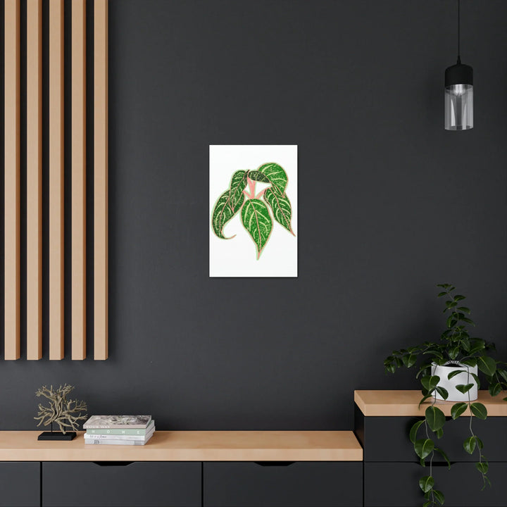 Aglaonema Plant Canvas | Sparkling Plant Artwork - Colorfast Canvas Art Print Decor