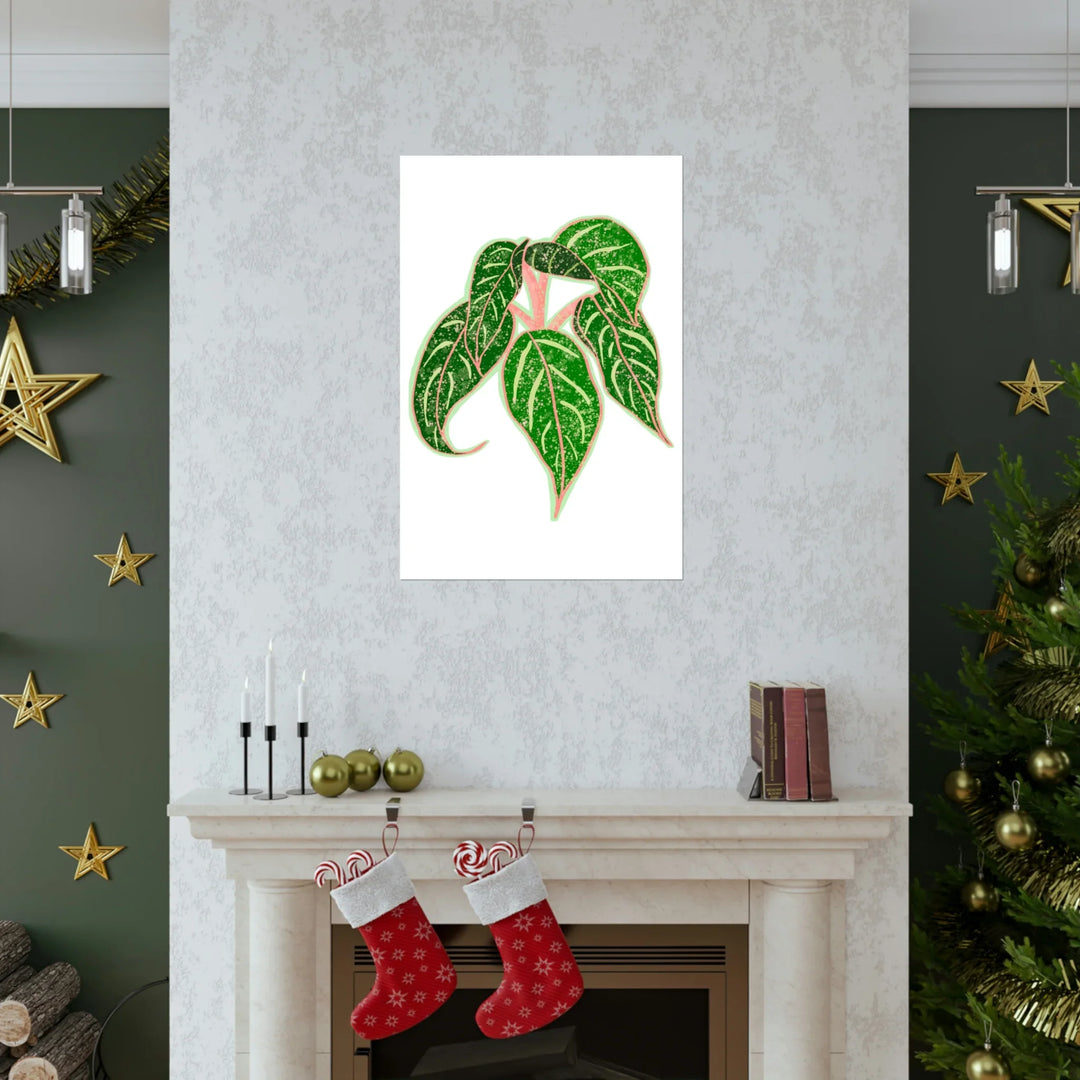 Aglaonema Art Print – Sparkling Sarah Botanical Wall Art | Museum Grade Paper Unframed