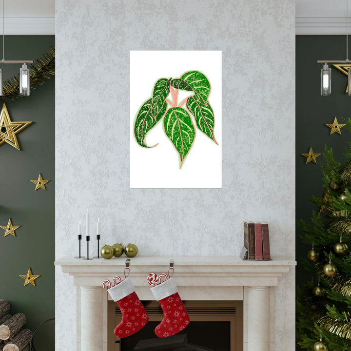 Aglaonema Art Print – Sparkling Sarah Botanical Wall Art | Museum Grade Paper Unframed
