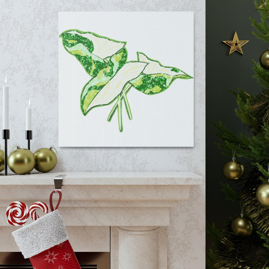 Marble Syngonium Canvas - Botanical Canvas Art Print | Durable Cotton Matte Finish - Laura Christine Photography & Design