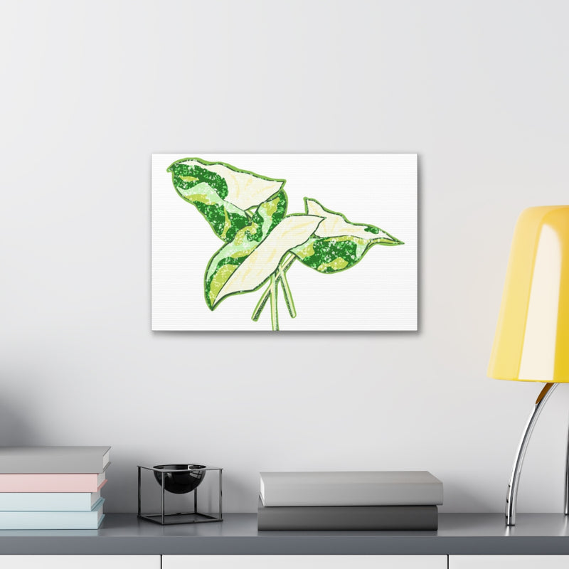 Marble Syngonium Canvas