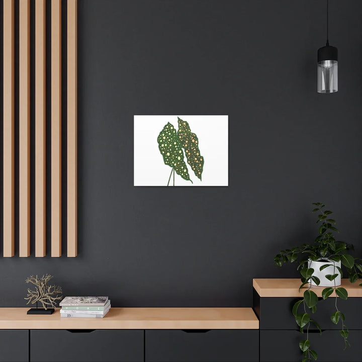 Begonia Maculata Canvas | Premium Canvas Art Print - Matte Finish, Durable Wall Decor - Laura Christine Photography & Design