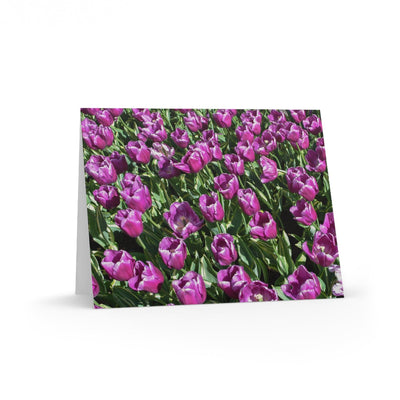 Purple Prince Charles Tulips Photo Greeting Card, Paper products, Printify, Greeting Card, Holiday Picks, Home & Living, Paper, Postcard, Postcards, Laura Christine Photography & Design, laurachristinedesign.com