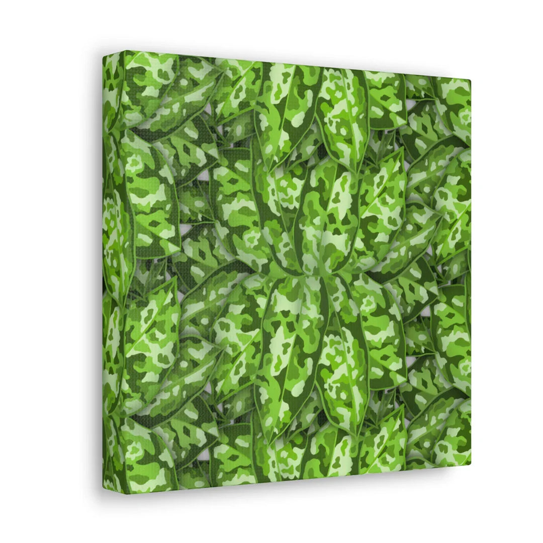 Aglaonema Pictum Canvas - Rare Camouflage Leaf Print Canvas Art Print