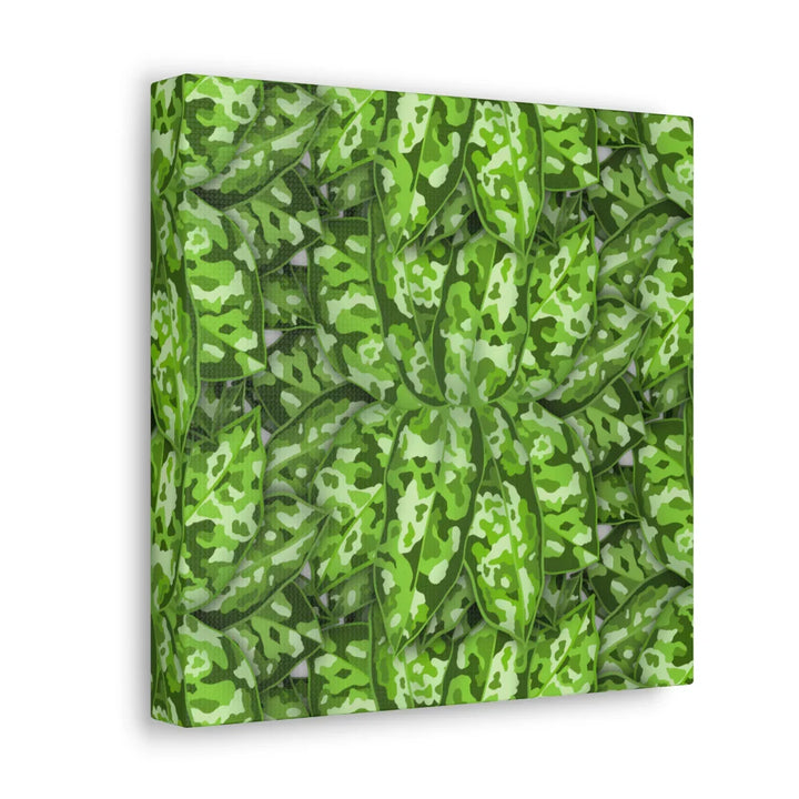 Aglaonema Pictum Canvas - Rare Camouflage Leaf Print Canvas Art Print