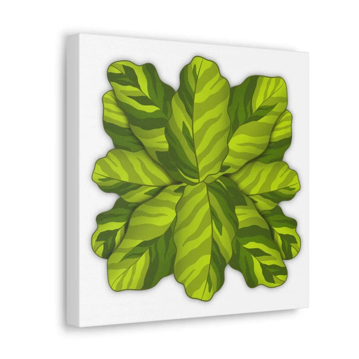 Calathea Yellow Fusion Canvas – Botanical Canvas Print With Unique Leaf Pattern Art - Laura Christine Photography & Design
