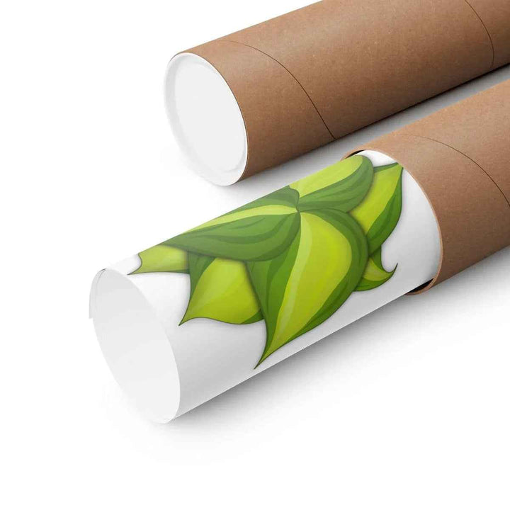 Philodendron Brasil Print – Botanical Wall Art on Museum Grade Paper Poster Unframed