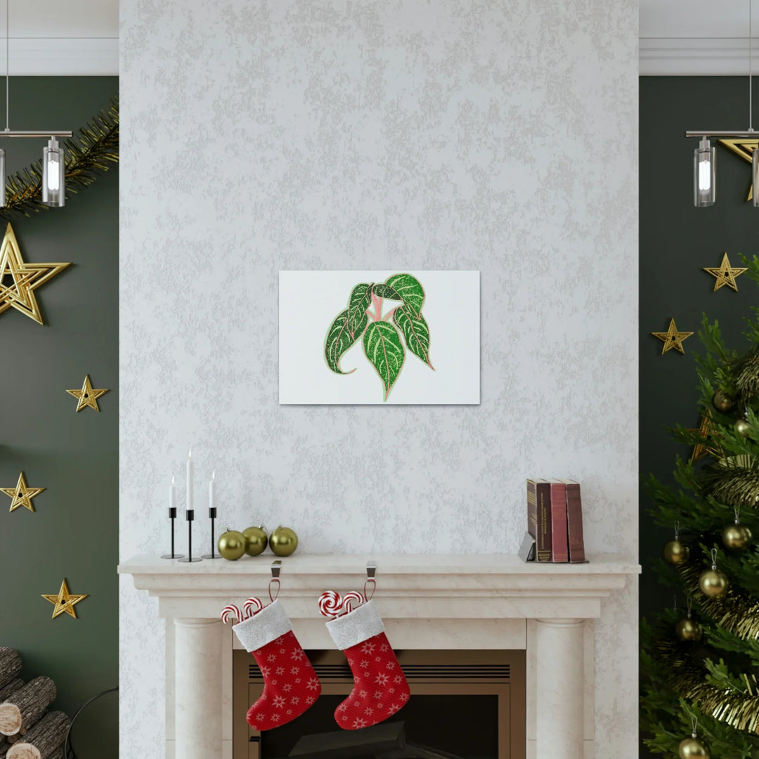 Aglaonema Plant Canvas | Sparkling Plant Artwork - Colorfast Canvas Art Print Decor