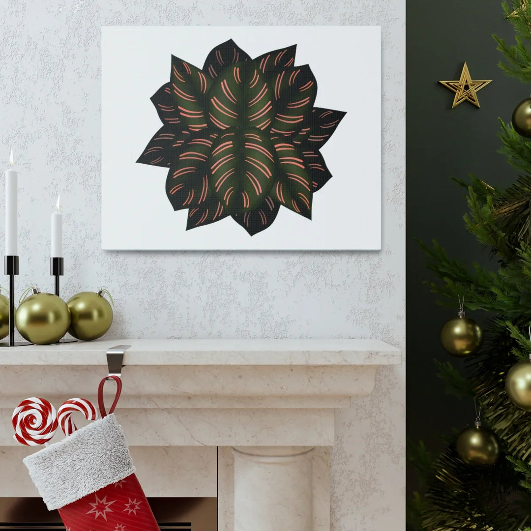 Calathea Pinstripe Canvas – Botanical Canvas Art Print | Matte Finish Wall Decor