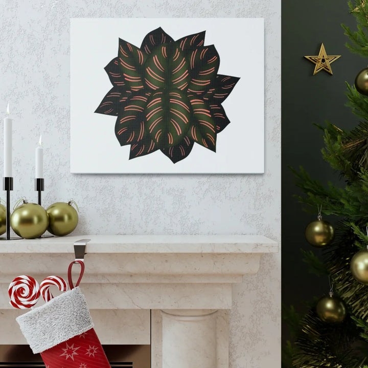 Calathea Pinstripe Canvas – Botanical Canvas Art Print | Matte Finish Wall Decor