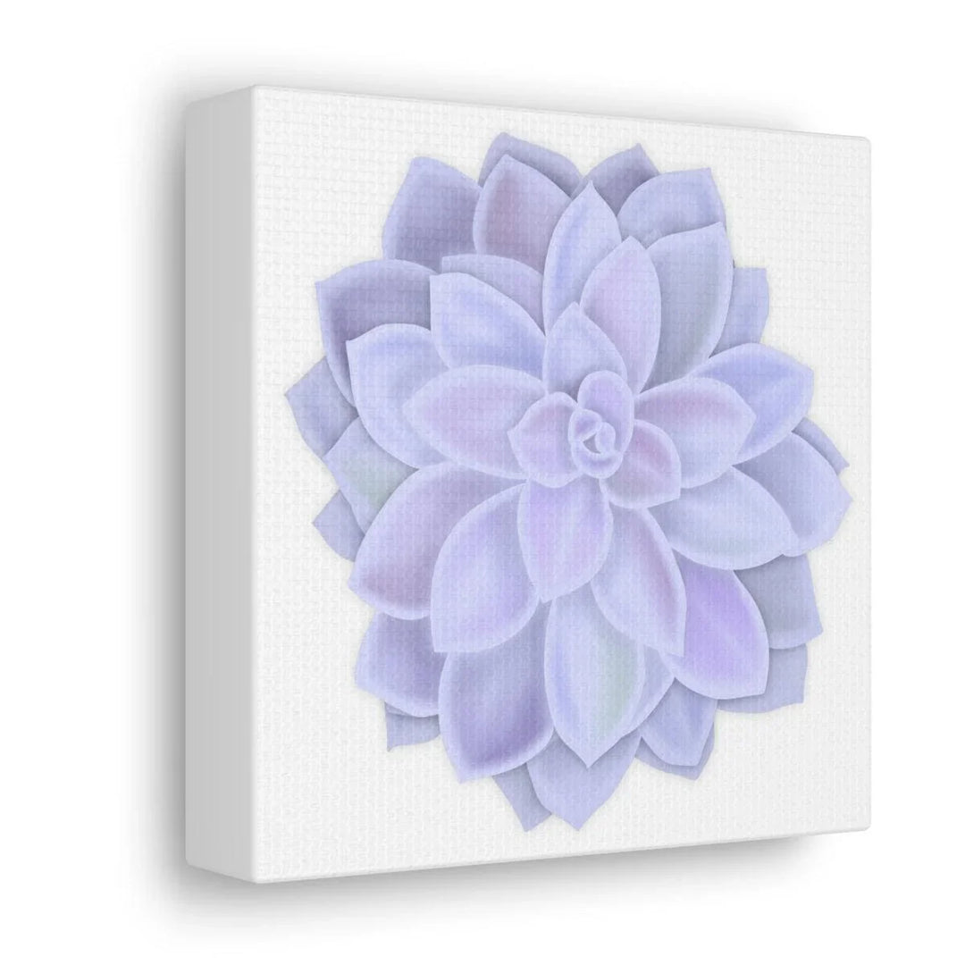 Graptopetalum 'Murasaki' Succulent Canvas, Canvas, Laura Christine Photography & Design, Art & Wall Decor, Canvas, Hanging Hardware, Home & Living, Indoor, Laura Christine Photography & Design, laurachristinedesign.com