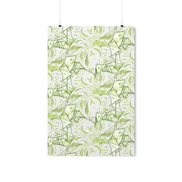 Snow Queen Pothos Print, Poster, Laura Christine Photography & Design, Back to School, Home & Living, Indoor, Matte, Paper, Posters, Valentine's Day promotion, Laura Christine Photography & Design, laurachristinedesign.com