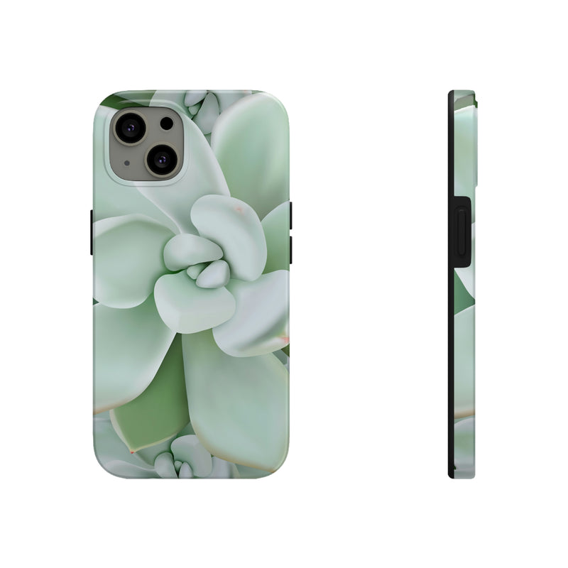 Pachyveria Haagei Succulent Phone Case, Phone Case, Printify, Accessories, Glossy, iPhone Cases, Matte, Phone accessory, Phone Cases, Samsung Cases, Laura Christine Photography & Design, laurachristinedesign.com