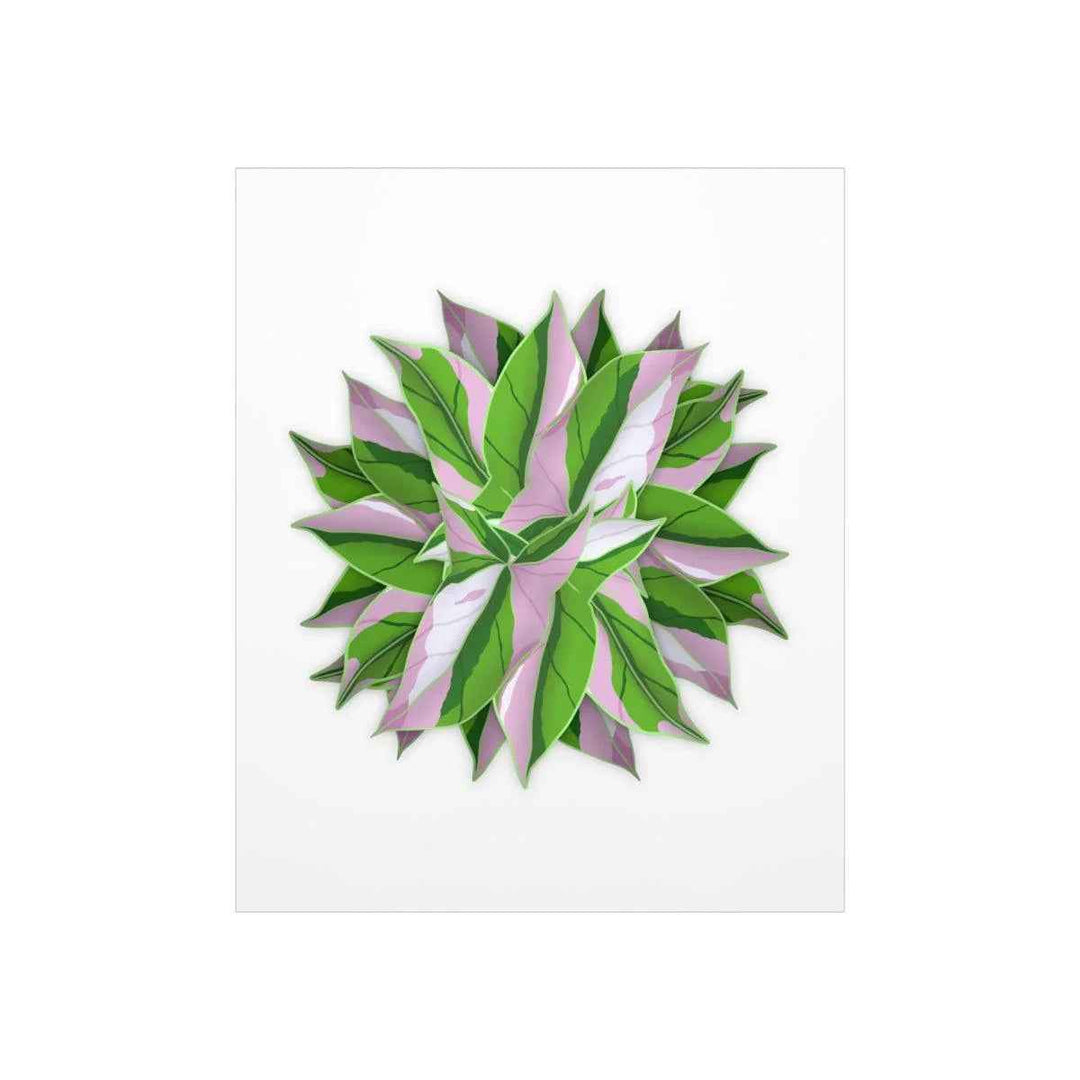 Tricolor Syngonium Print - Botanical Poster on Museum Grade Paper | Archival Ink Unframed