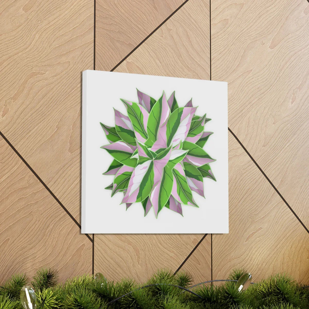 Tricolor Syngonium Canvas - Durable Canvas Art Print With Matte Finish & Botanical Design - Laura Christine Photography & Design