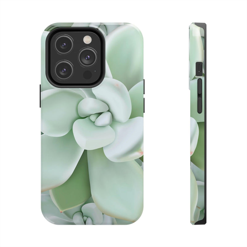 Pachyveria Haagei Succulent Phone Case, Phone Case, Printify, Accessories, Glossy, iPhone Cases, Matte, Phone accessory, Phone Cases, Samsung Cases, Laura Christine Photography & Design, laurachristinedesign.com