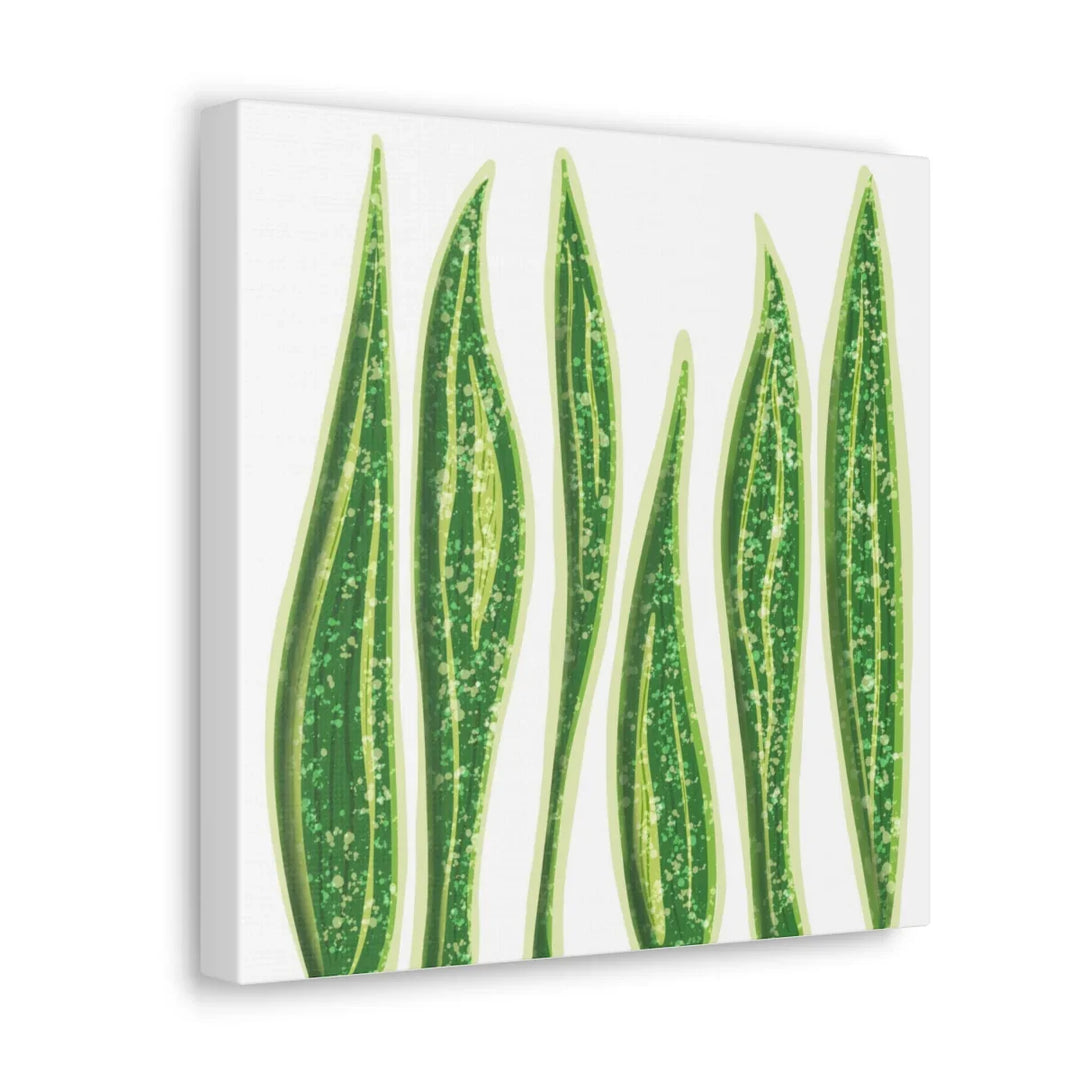 Snake Plant Canvas | Botanical Canvas Decor - Matte Finish Artwork for Living Room - Laura Christine Photography & Design