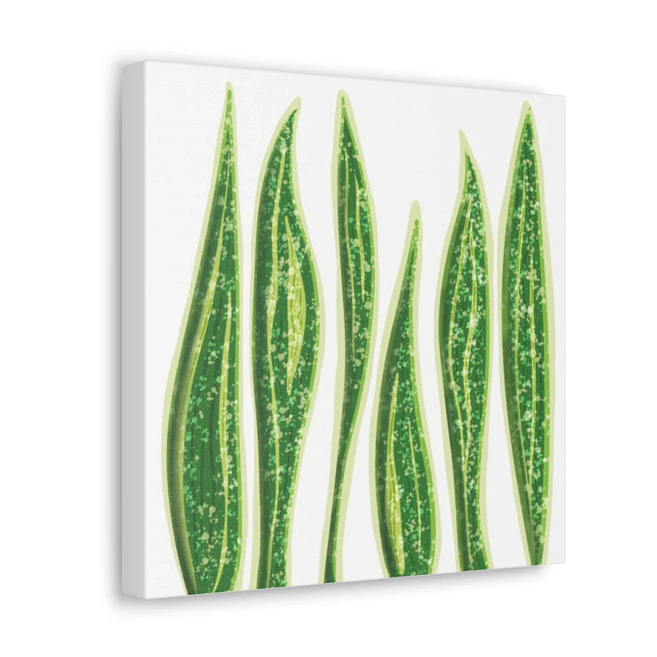 Snake Plant Canvas | Botanical Canvas Decor - Matte Finish Artwork for Living Room - Laura Christine Photography & Design