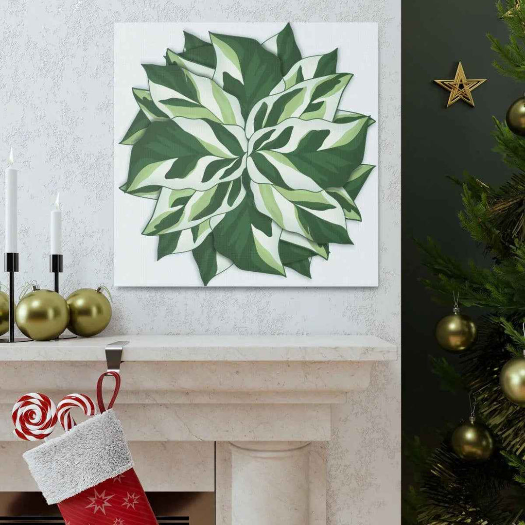 Calathea White Fusion Canvas | Indoor Wall Art - Matte Finish Botanical Canvas Art Print