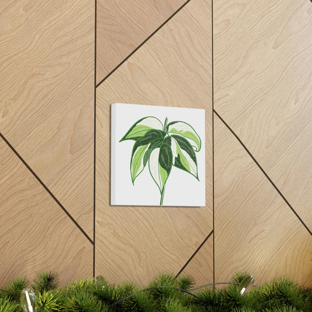 Philodendron Canvas Print - Cream Splash Variegated Plant Art on Matte Cotton Canvas