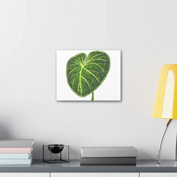 Philodendron Gloriosum Canvas - Stretched Canvas Art Print | Matte Indoor Wall Art - Laura Christine Photography & Design