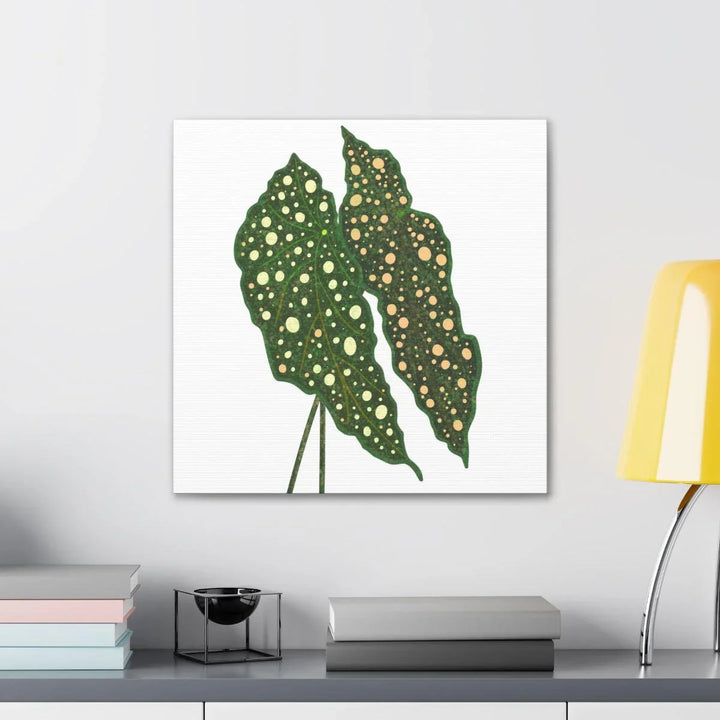 Begonia Maculata Canvas | Premium Canvas Art Print - Matte Finish, Durable Wall Decor - Laura Christine Photography & Design