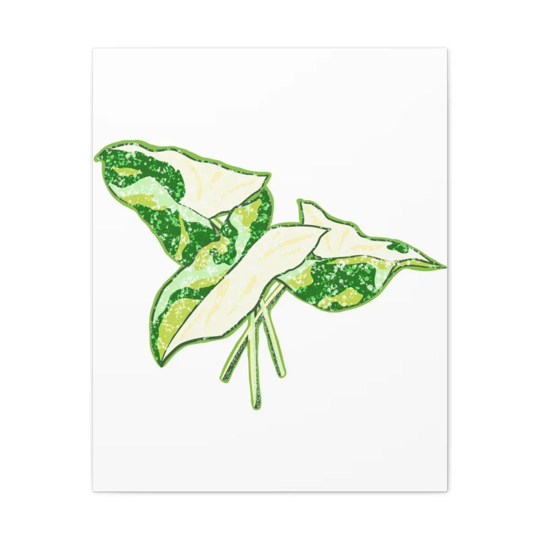 Marble Syngonium Canvas - Botanical Canvas Art Print | Durable Cotton Matte Finish - Laura Christine Photography & Design