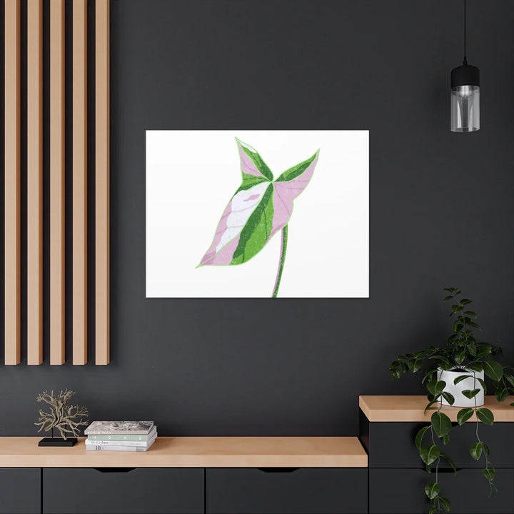 Syngonium Tricolor Canvas | Botanical Canvas Art Print With Matte Finish - Laura Christine Photography & Design