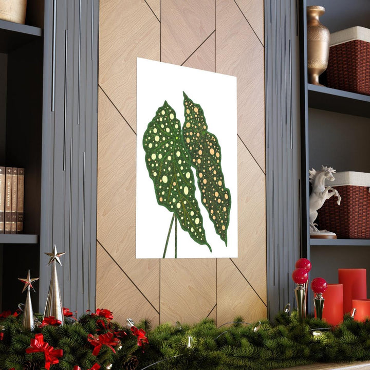 Begonia Maculata Print - Botanical Wall Art on Museum Grade Paper | Matte Finish Unframed - Laura Christine Photography & Design