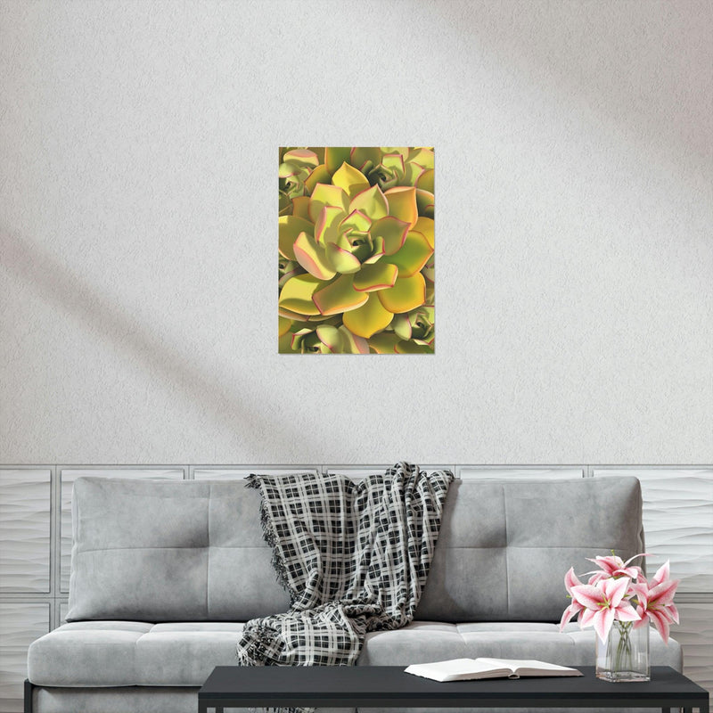 Noble Aeonium Succulent Pattern Print, Poster, Printify, Back to School, Home & Living, Indoor, Matte, Paper, Posters, Valentine&