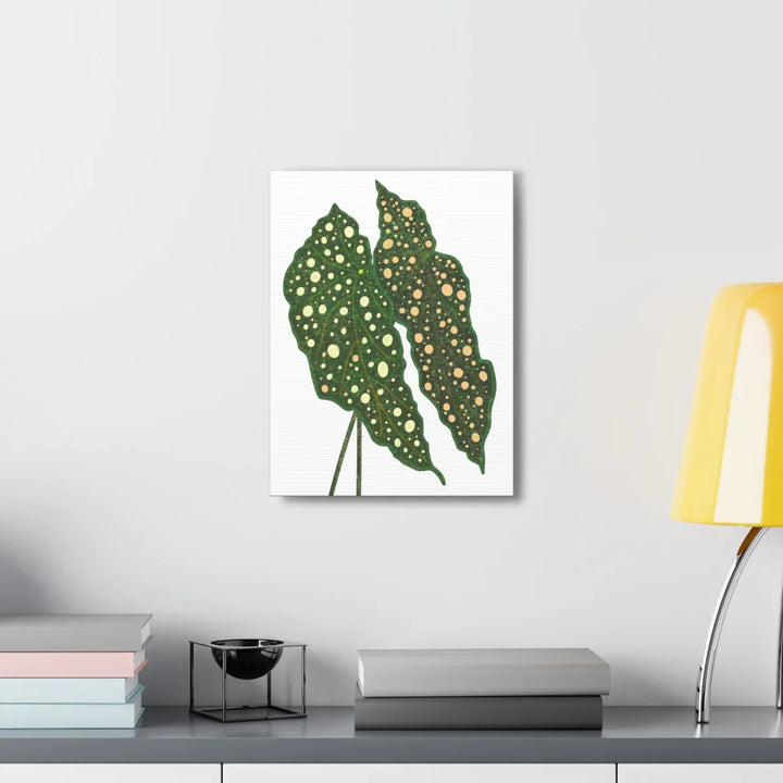 Begonia Maculata Canvas | Premium Canvas Art Print - Matte Finish, Durable Wall Decor - Laura Christine Photography & Design